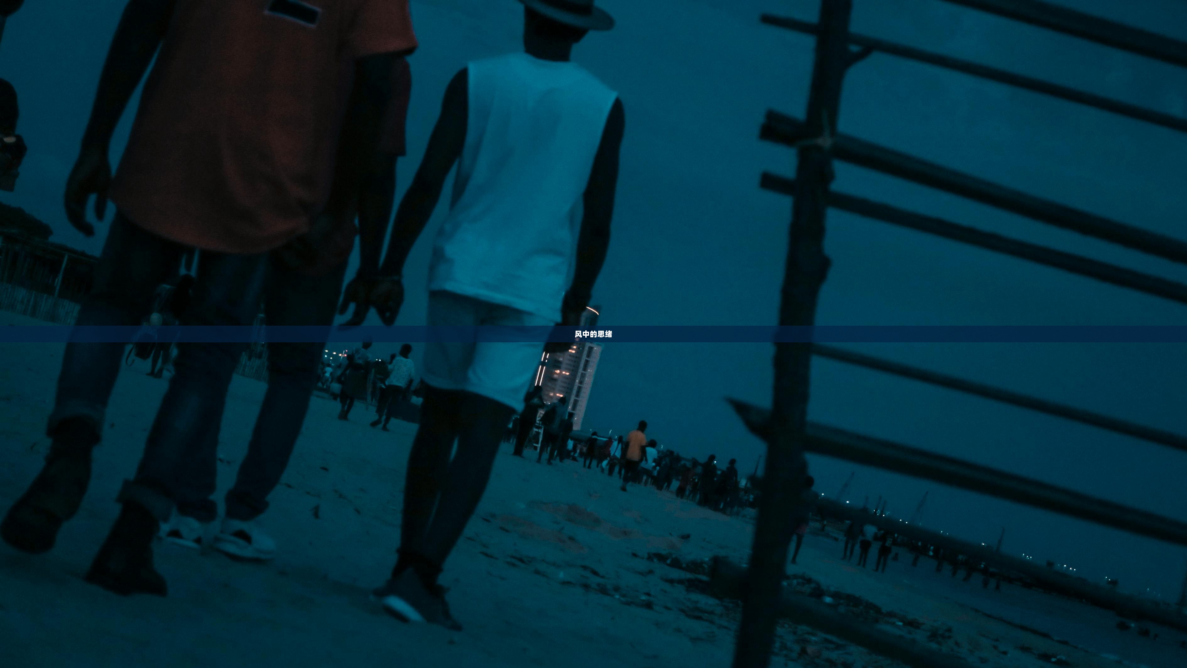 风中的思绪  第1张