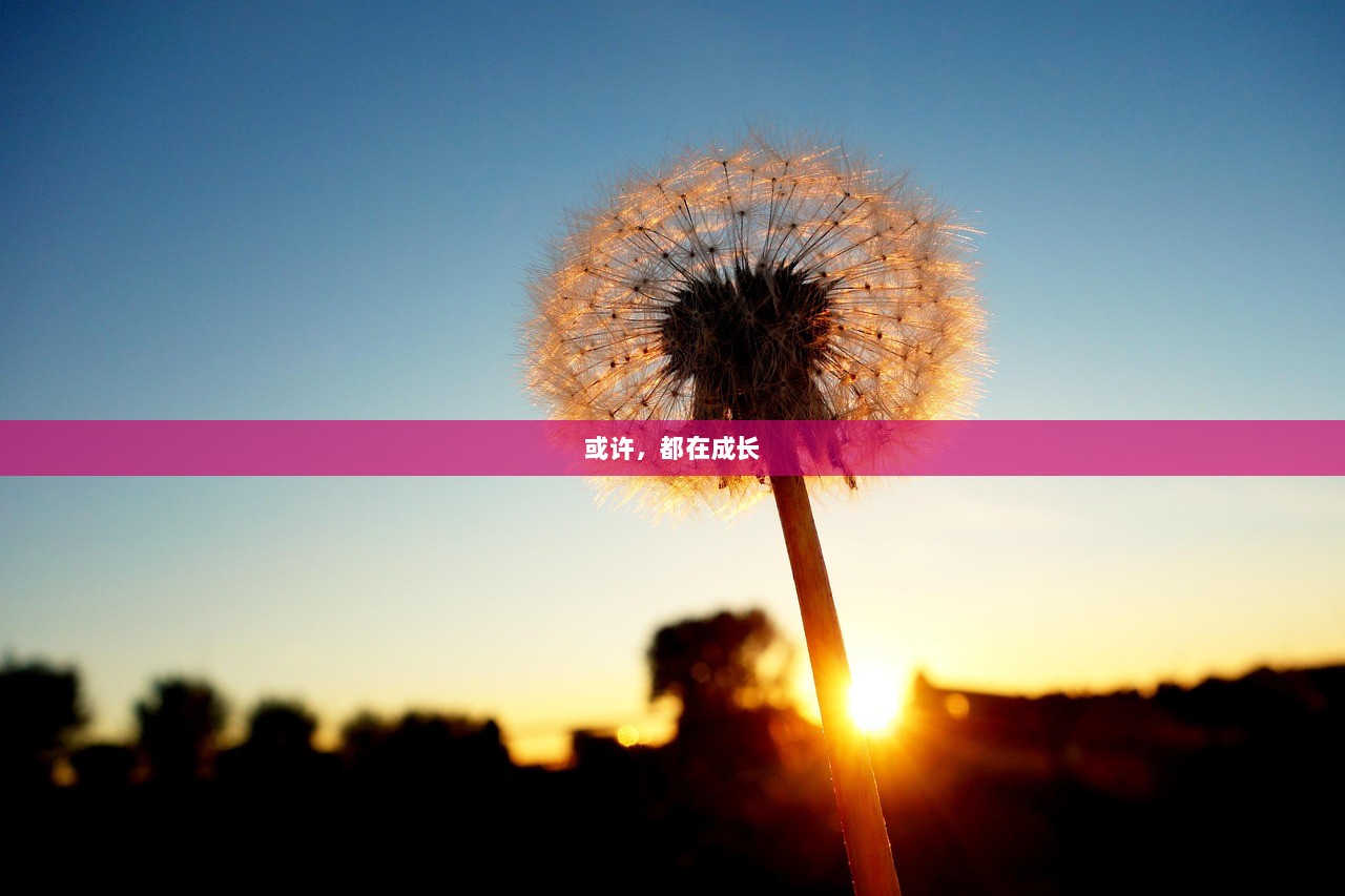或许，都在成长