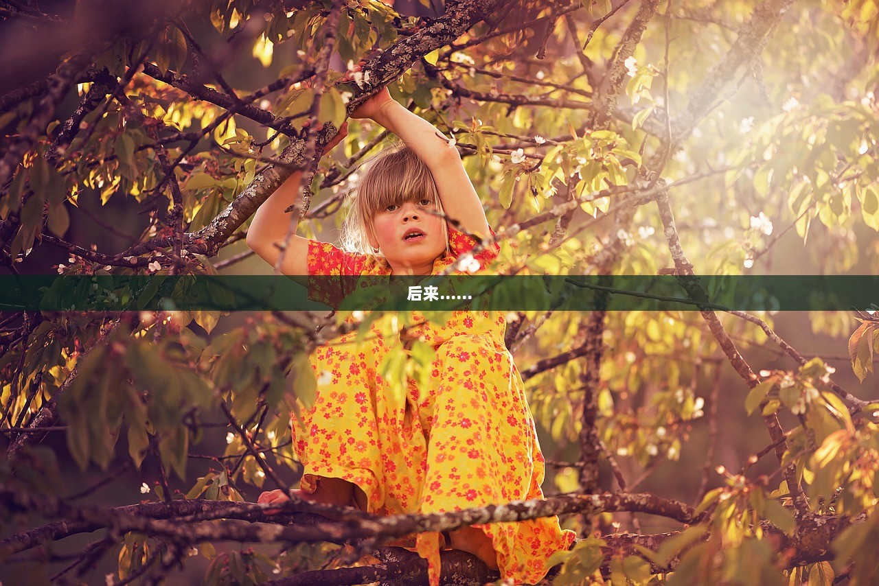 后来…… 第1张 后来…… 第1张