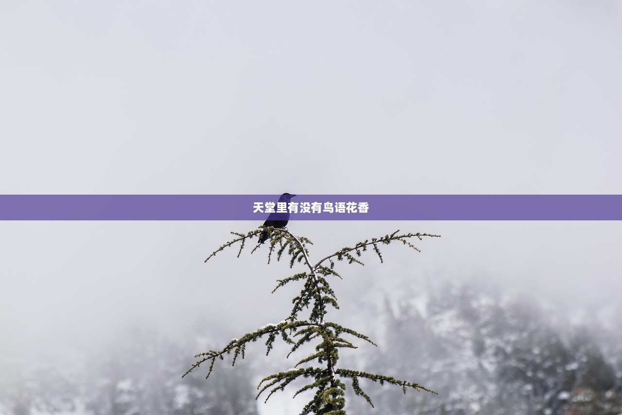 天堂里有没有鸟语花香