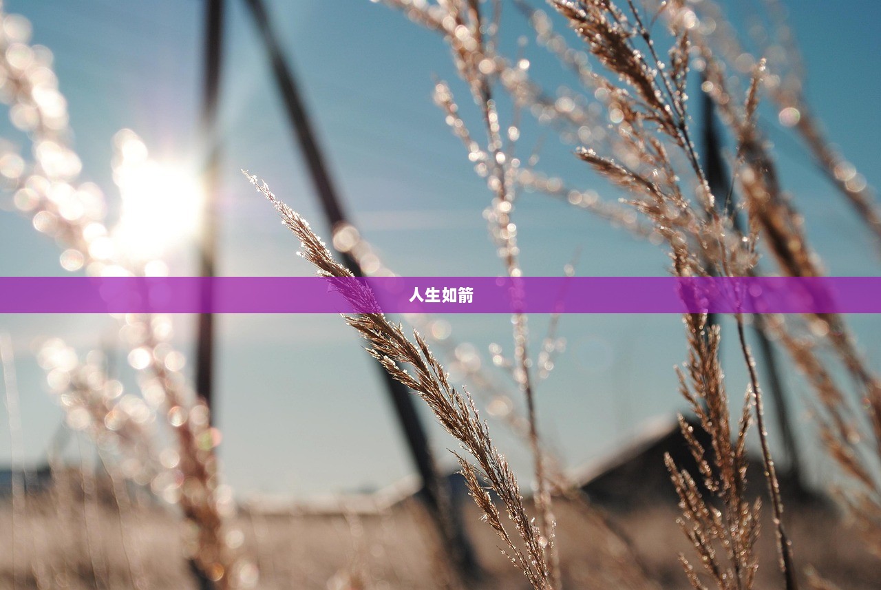 人生如箭