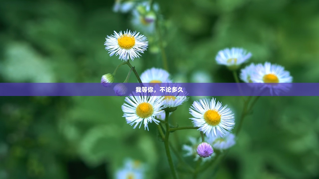 我等你，不论多久