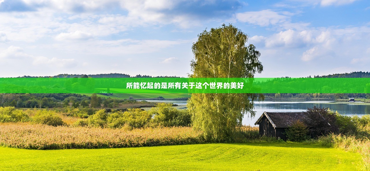 所能忆起的是所有关于这个世界的美好