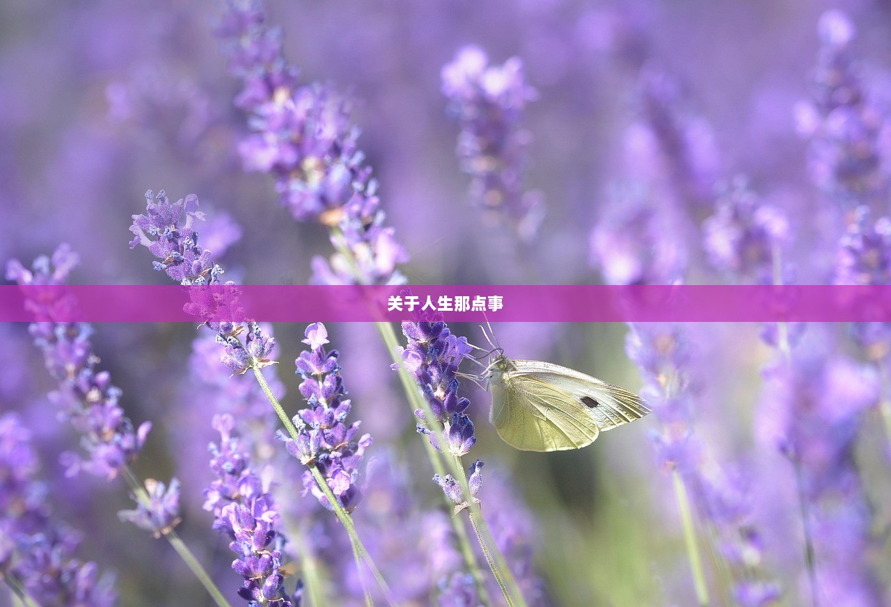 关于人生那点事