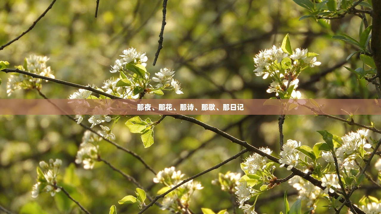 那夜、那花、那诗、那歌、那日记
