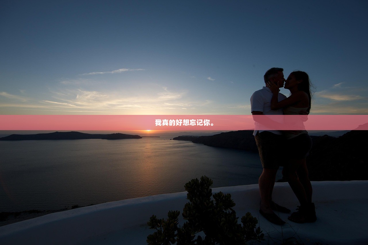 我真的好想忘记你。