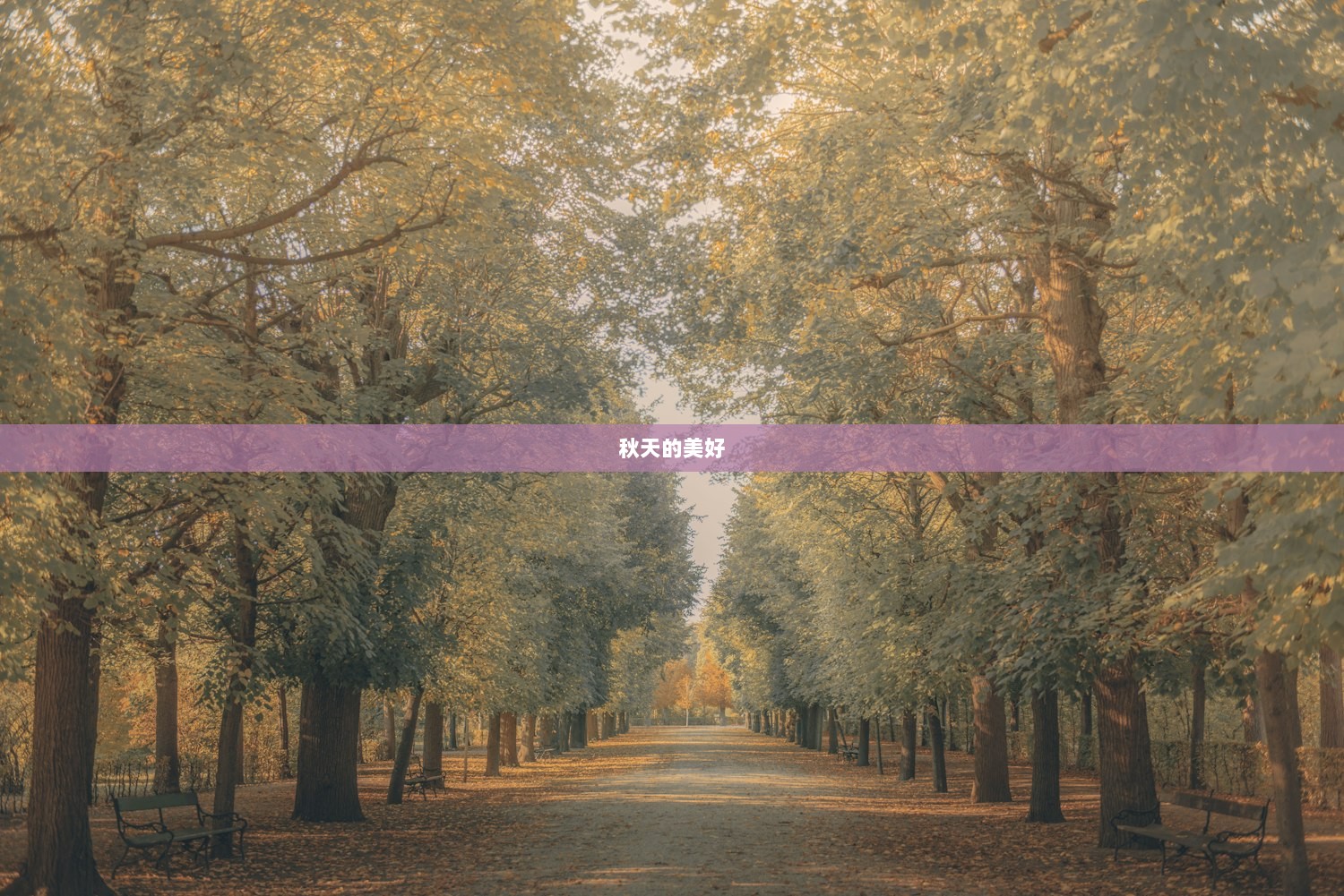 秋天的美好 第1张 秋天的美好 第1张