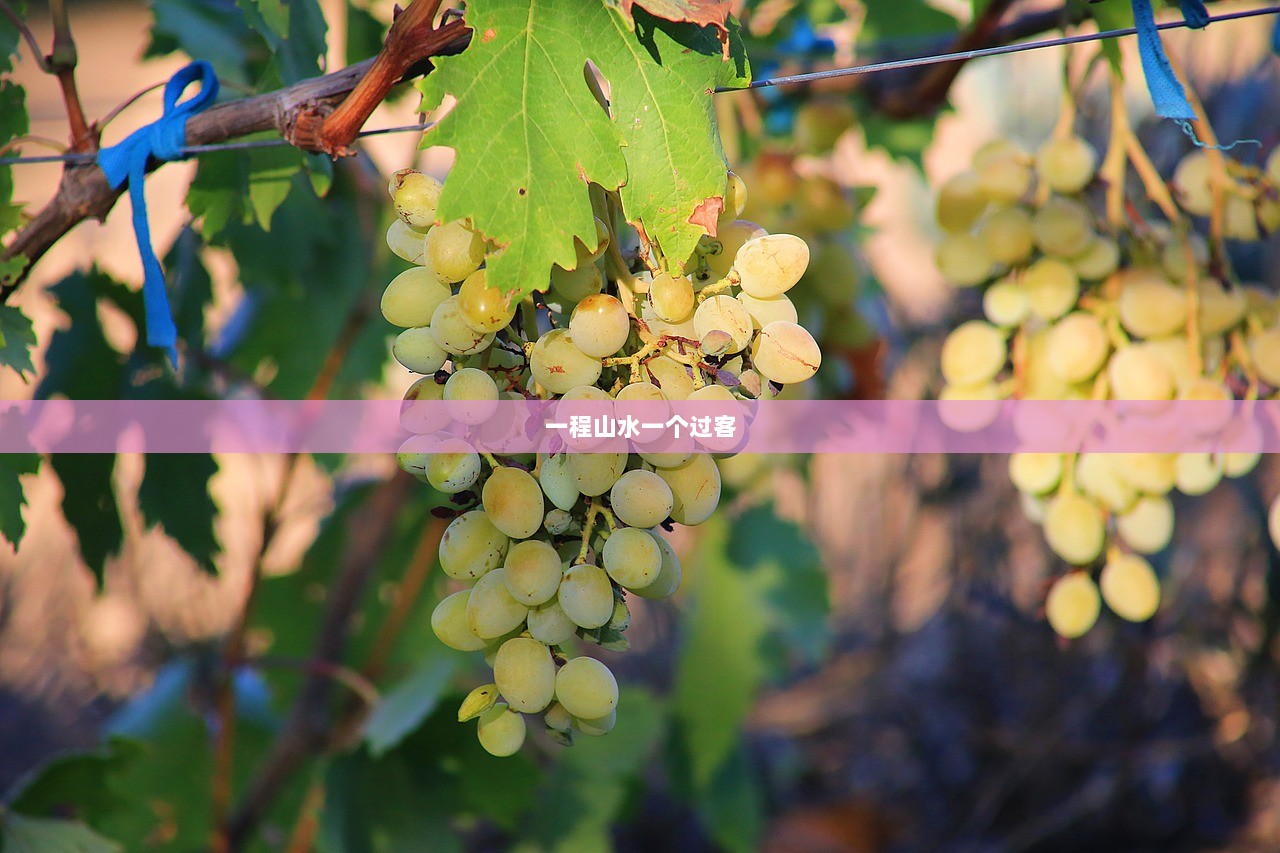 一程山水一个过客
