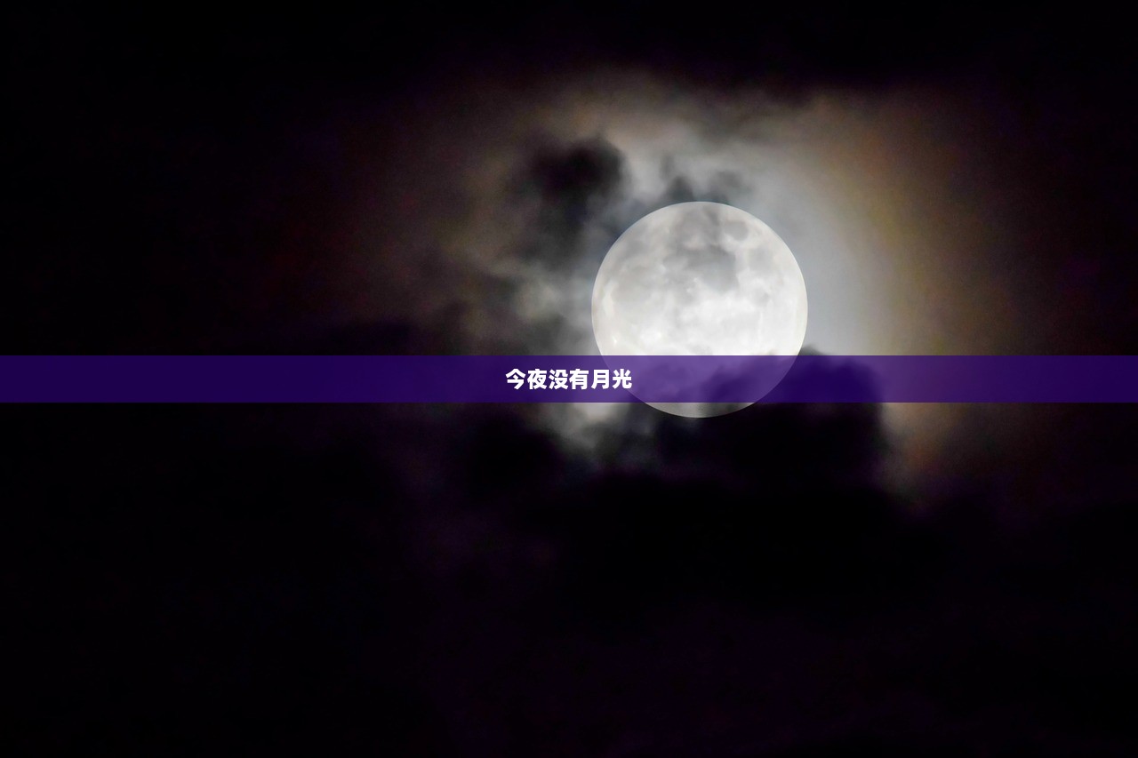 今夜没有月光