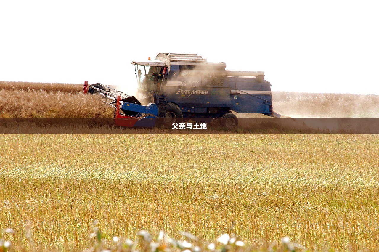 父亲与土地