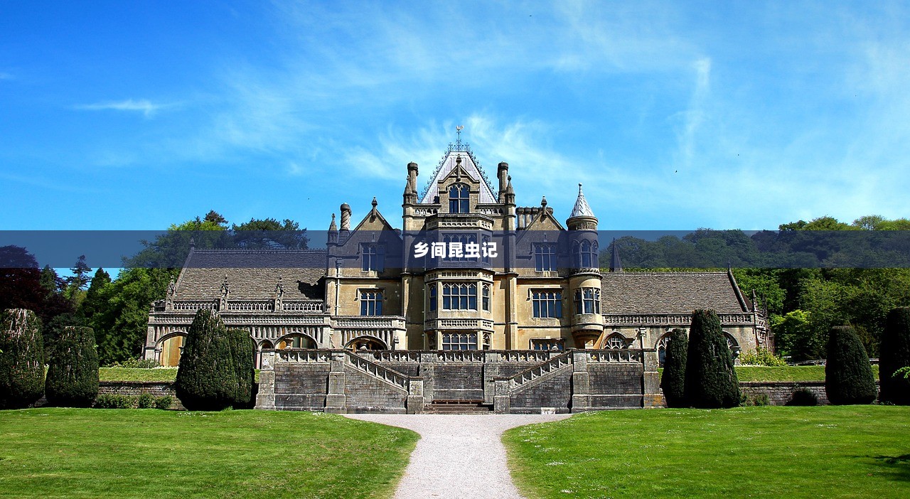 乡间昆虫记