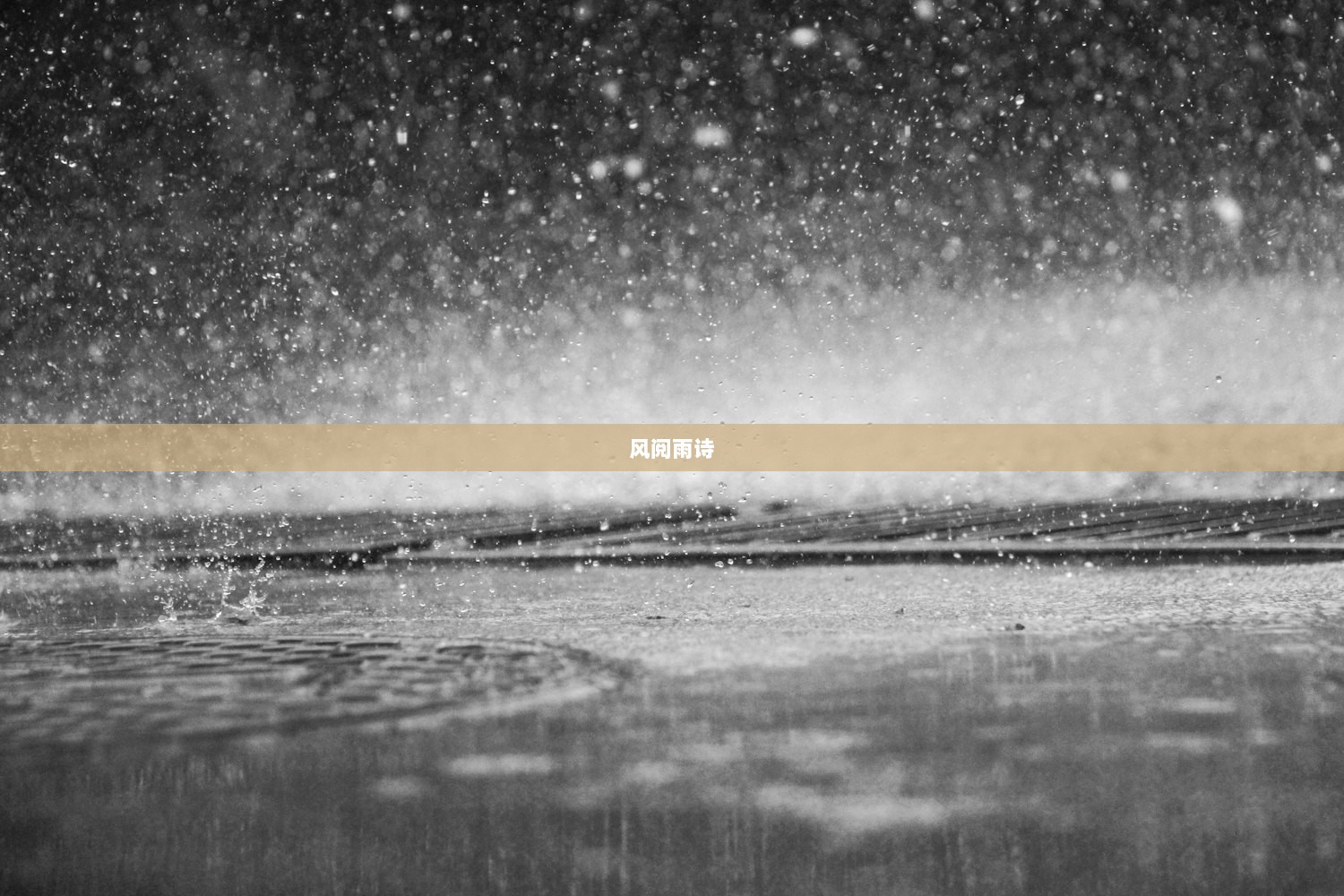 风阅雨诗