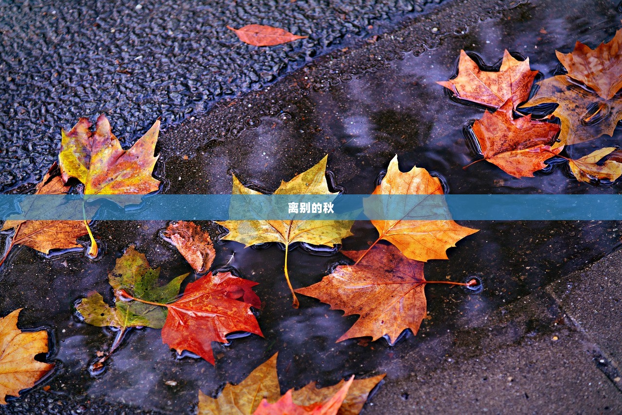 离别的秋