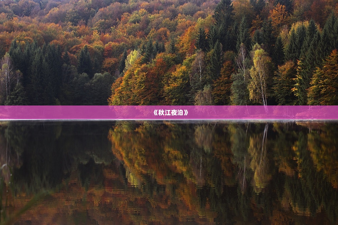 《秋江夜泊》