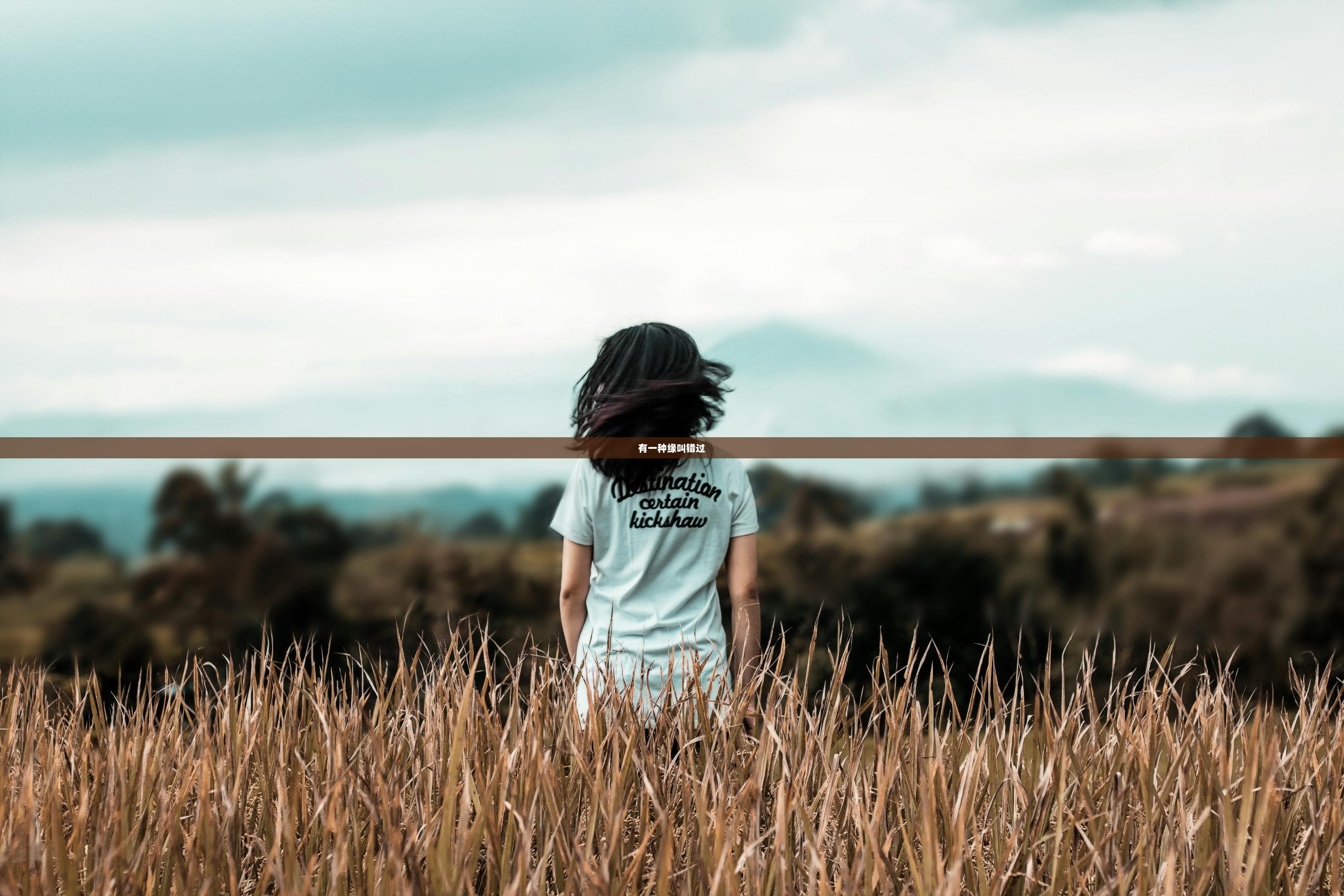 有一种缘叫错过