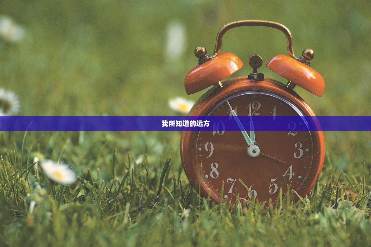 我所知道的远方
