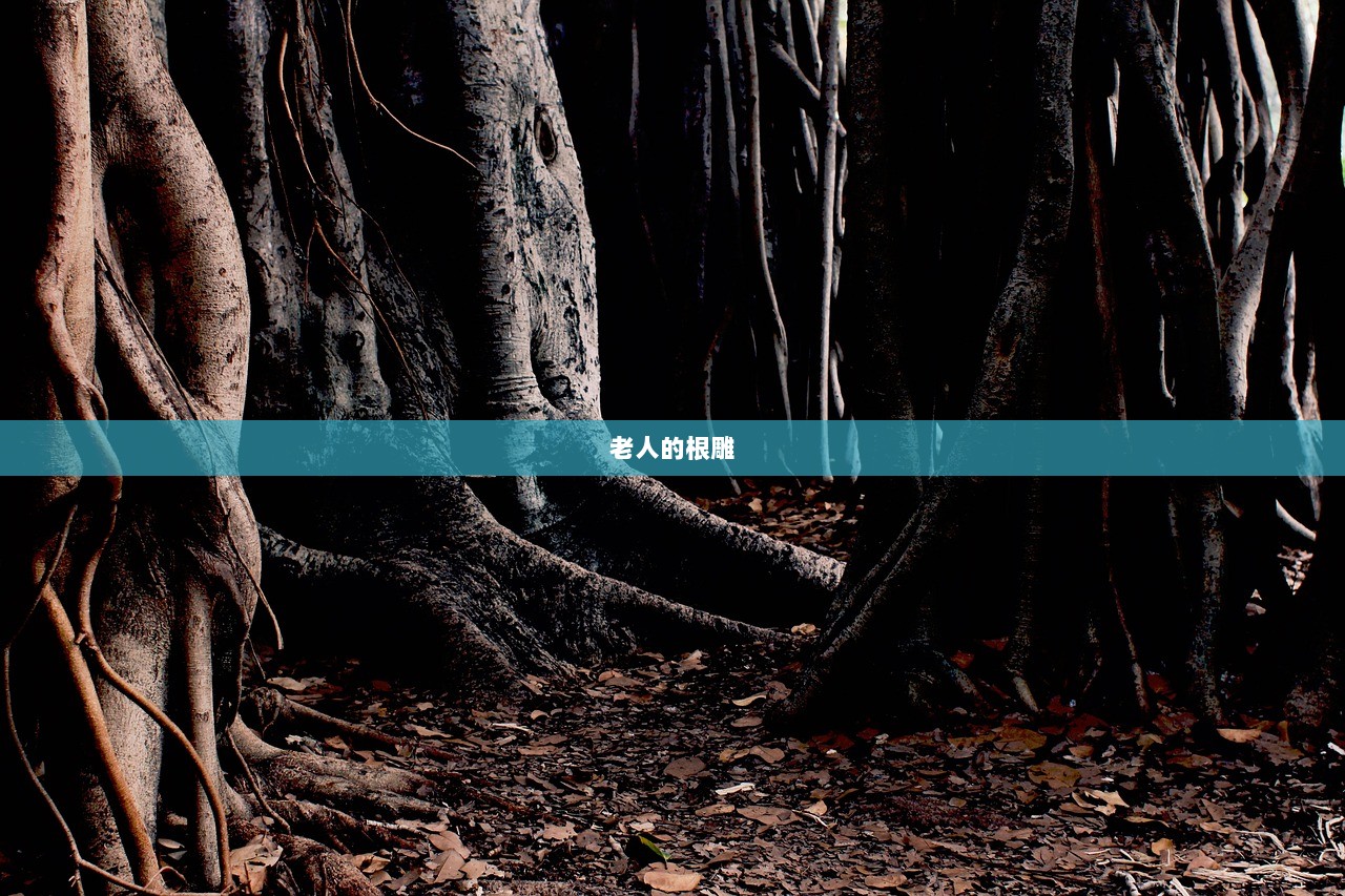 老人的根雕