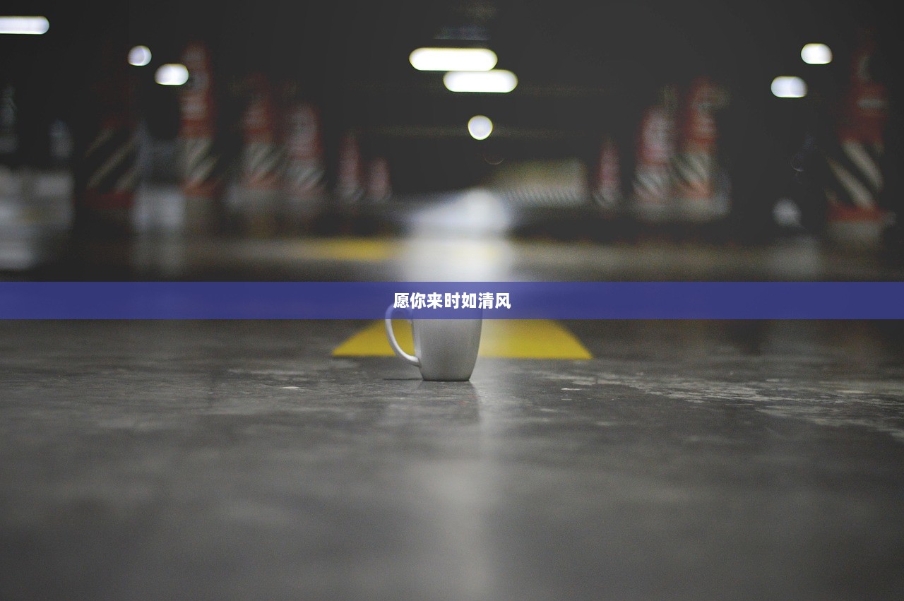 愿你来时如清风