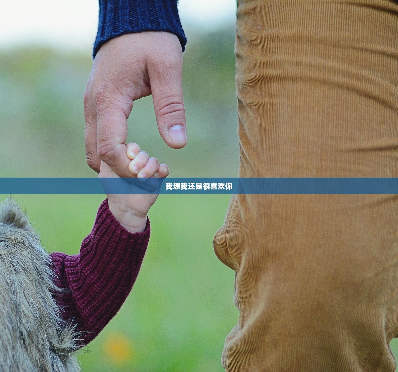 我想我还是很喜欢你