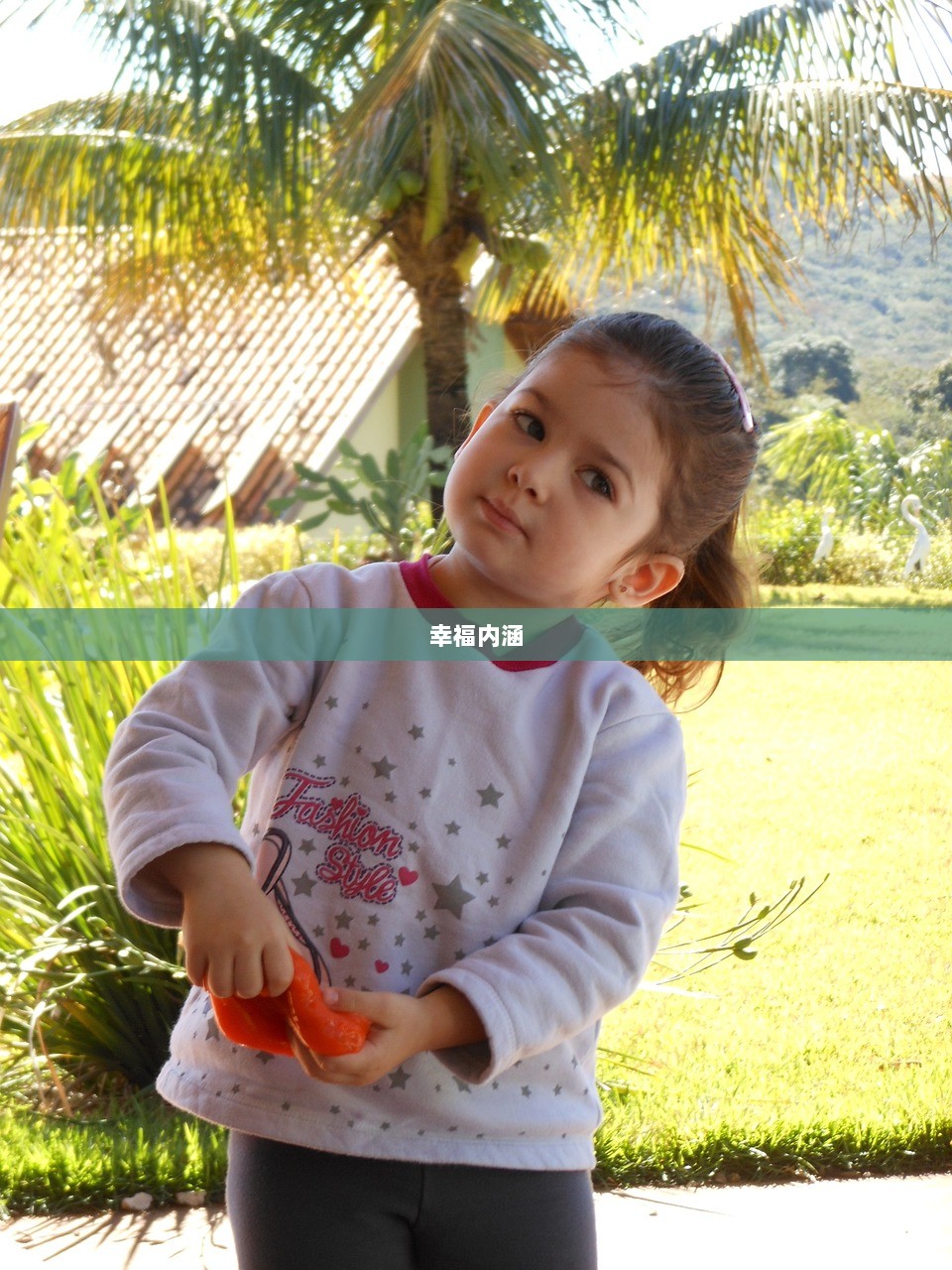 幸福内涵  第1张