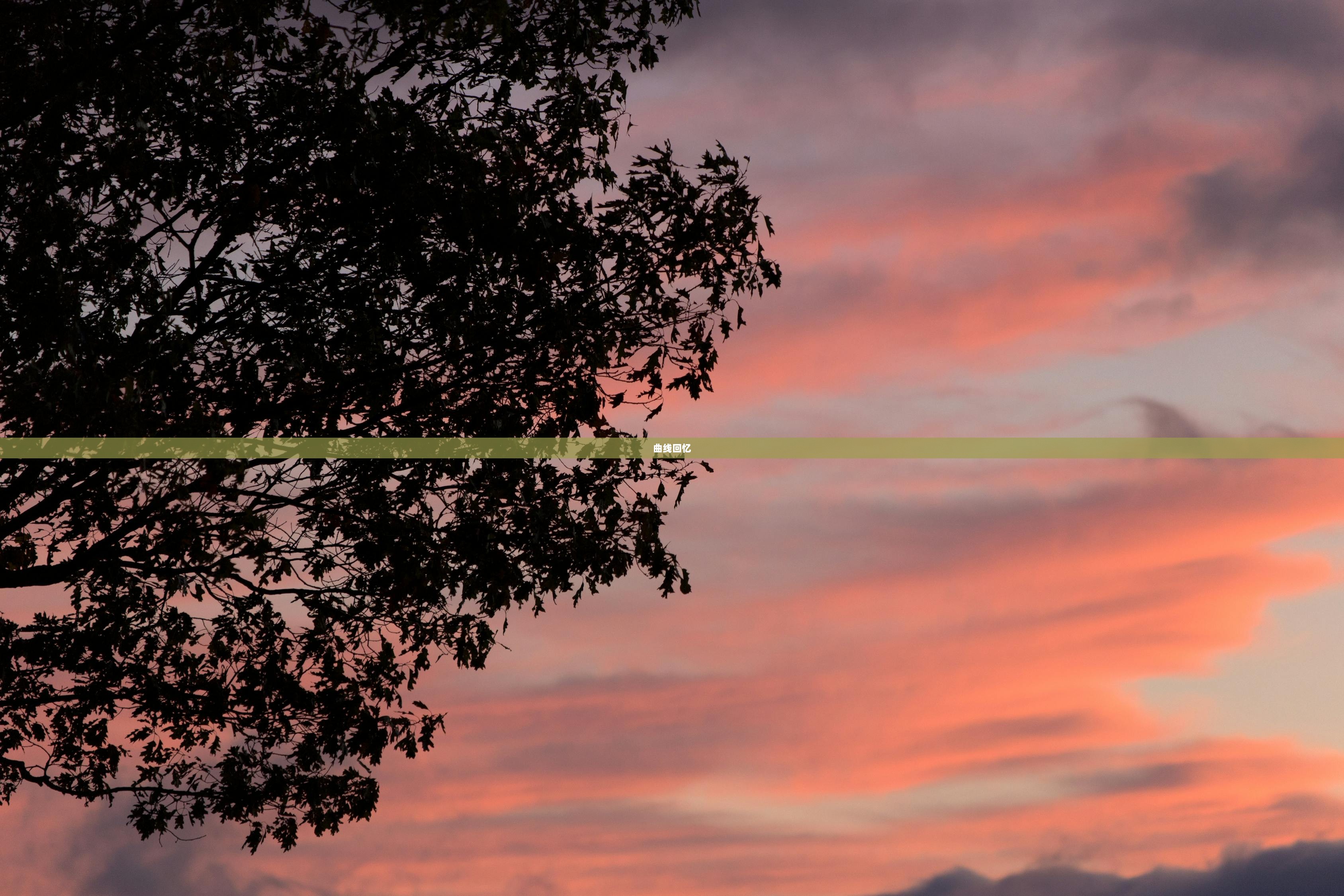 曲线回忆  第1张