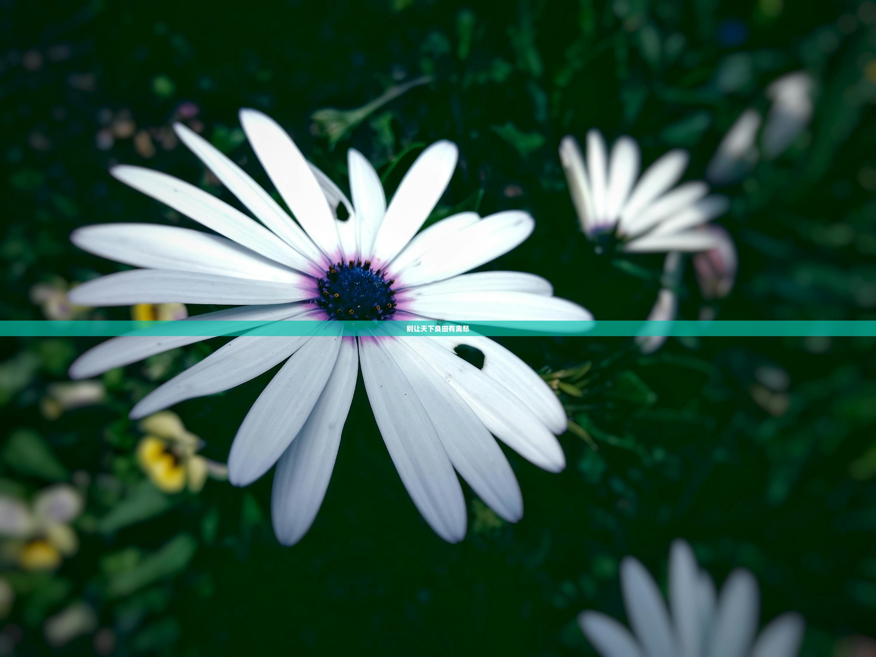 别让天下良田有离愁