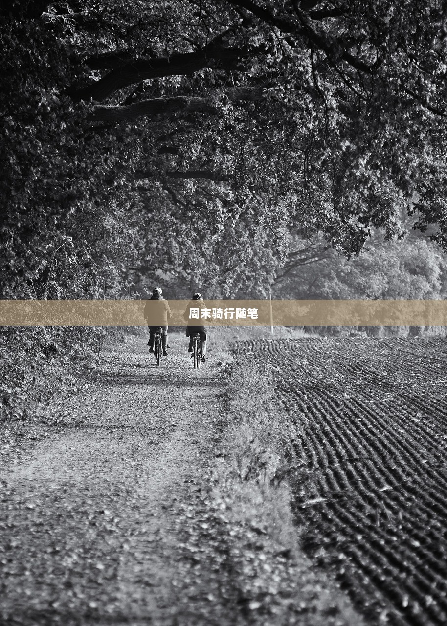 周末骑行随笔