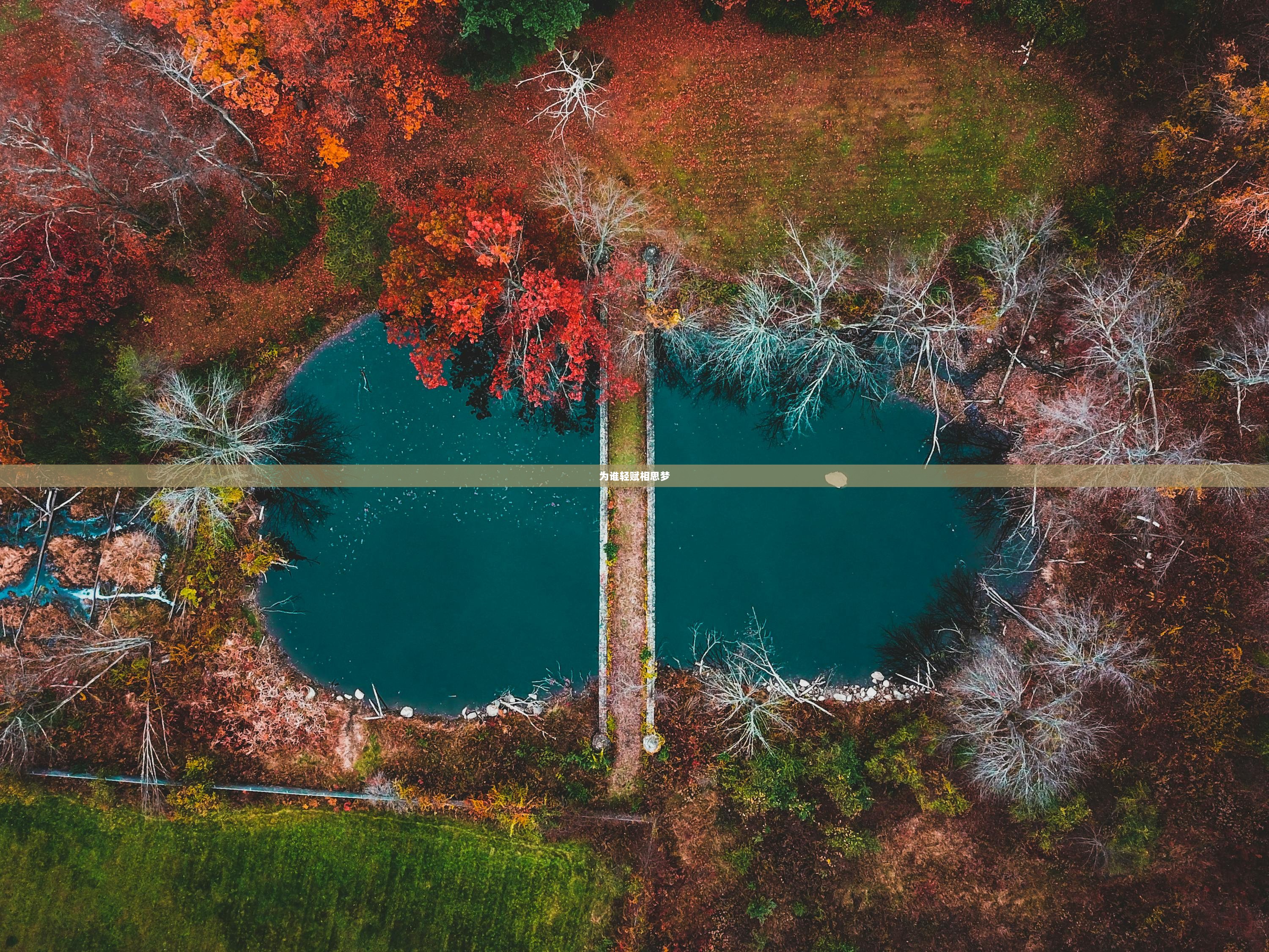 为谁轻赋相思梦