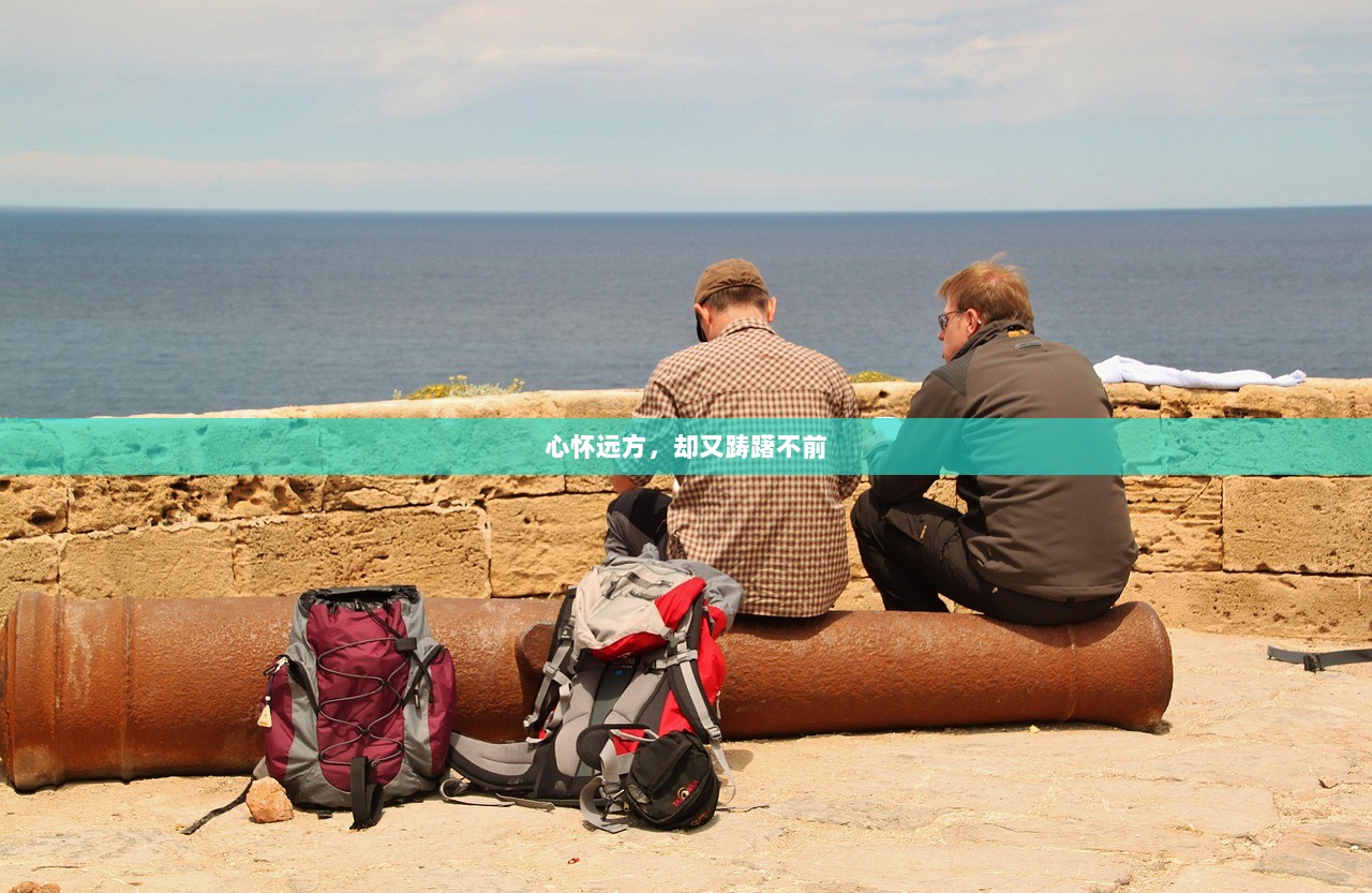 心怀远方，却又踌躇不前