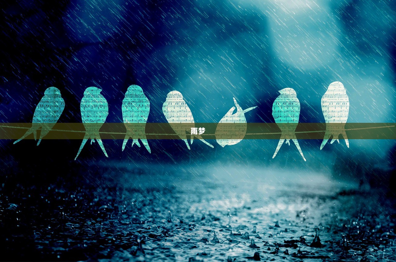 雨梦