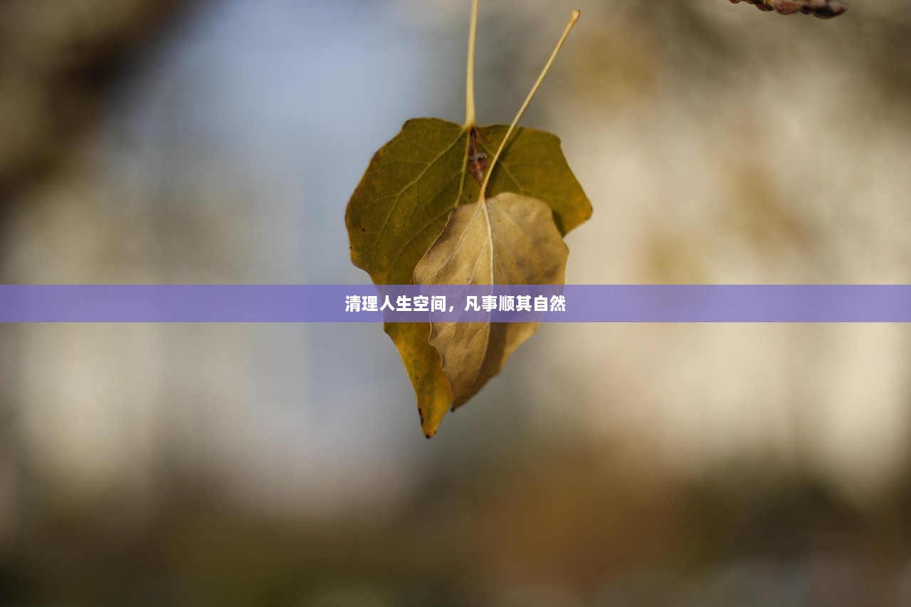 清理人生空间，凡事顺其自然  第1张