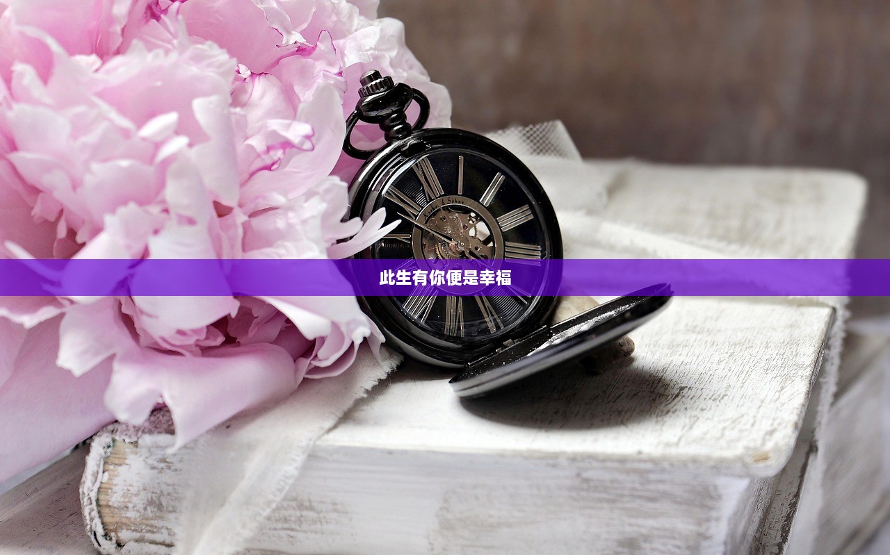 此生有你便是幸福