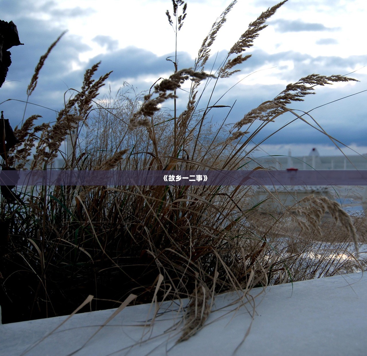 《故乡一二事》