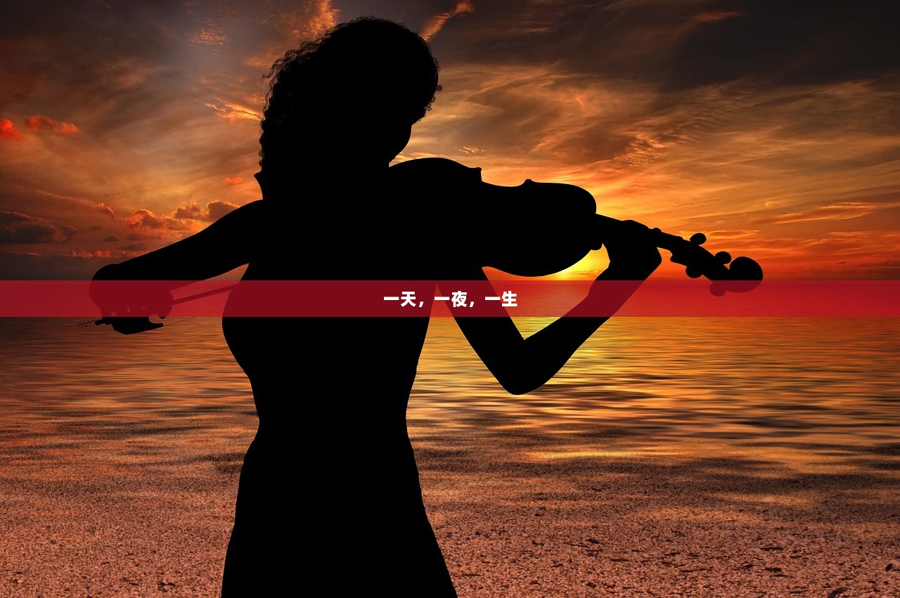 一天，一夜，一生
