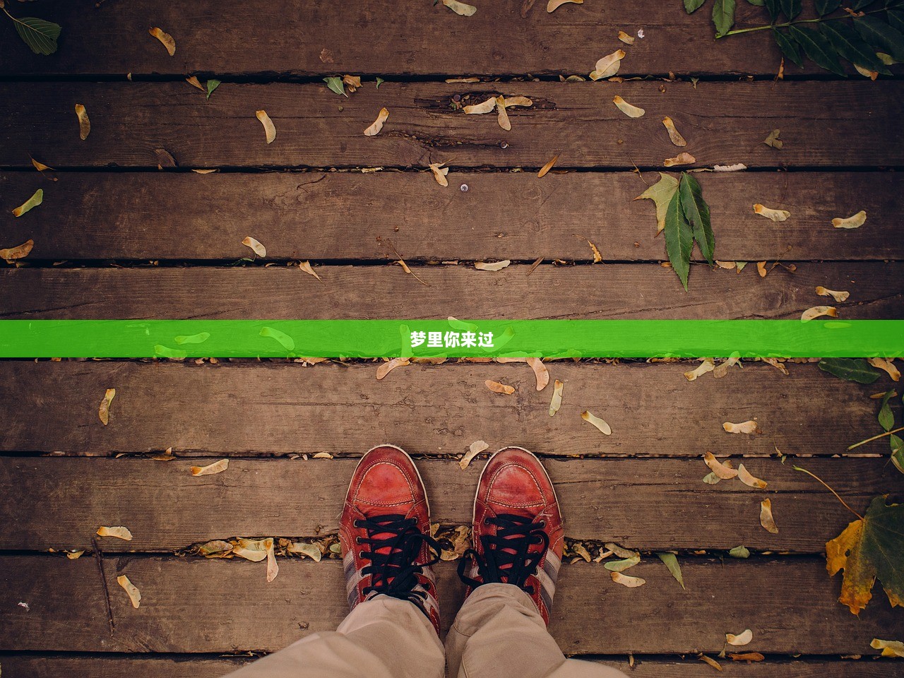 梦里你来过