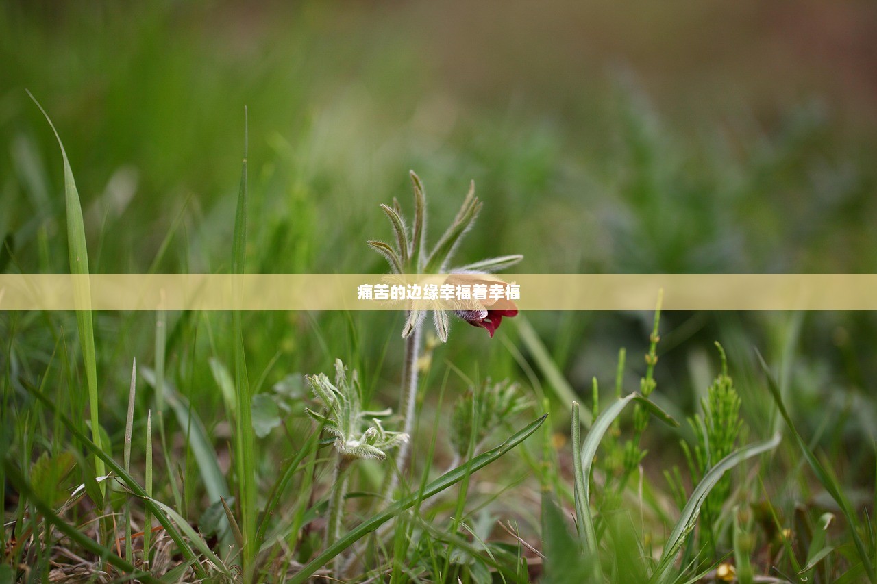 痛苦的边缘幸福着幸福