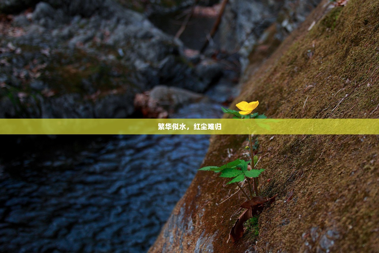 繁华似水，红尘难归