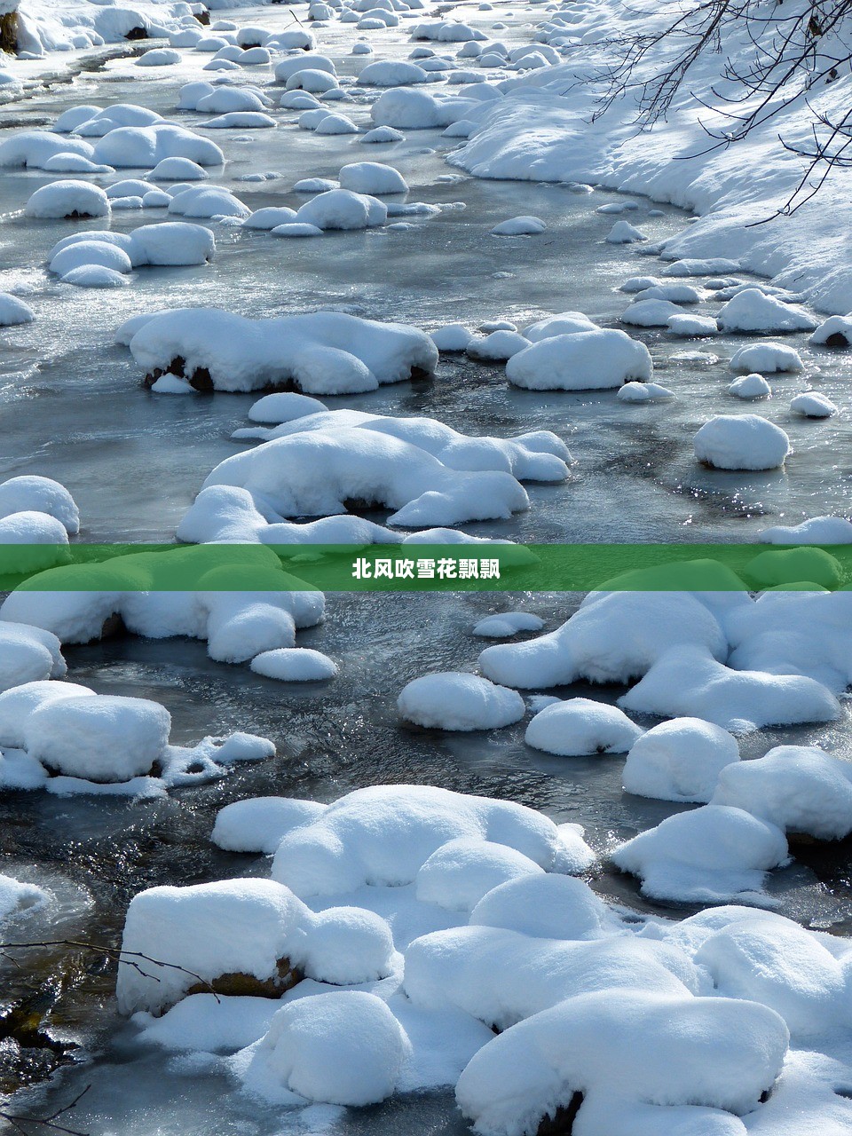 北风吹雪花飘飘