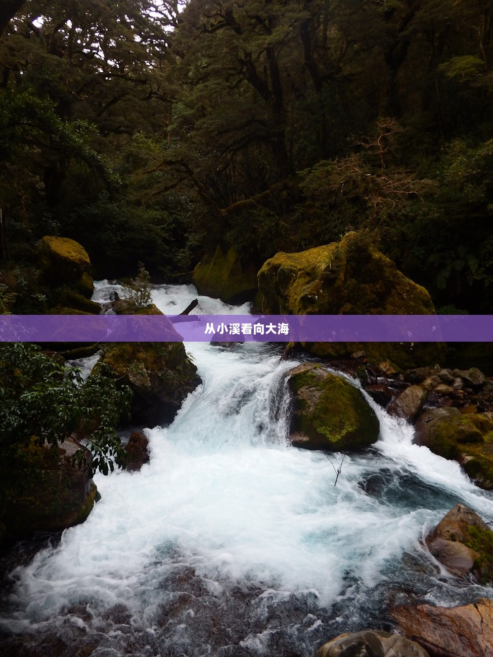 从小溪看向大海