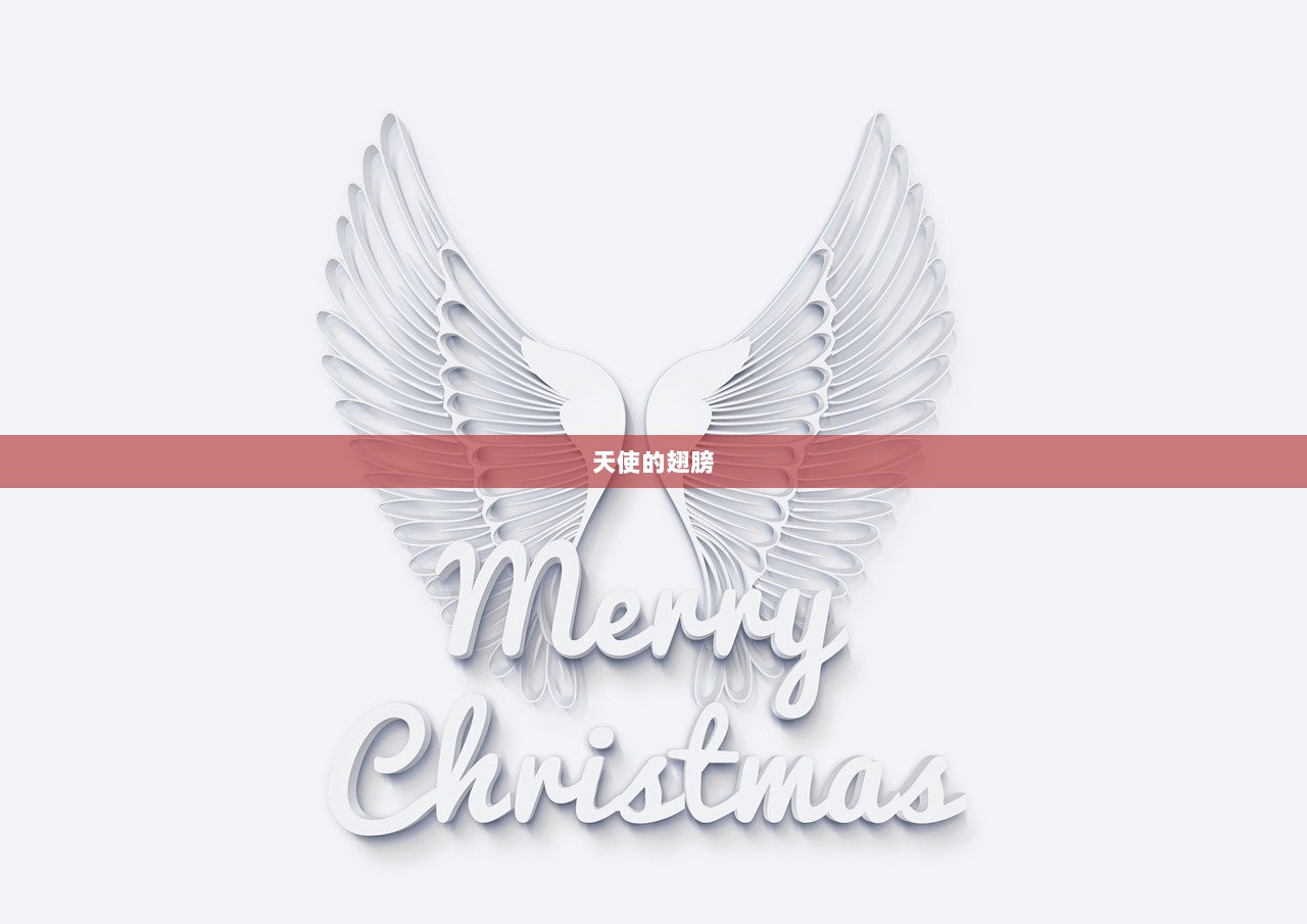 天使的翅膀  第1张