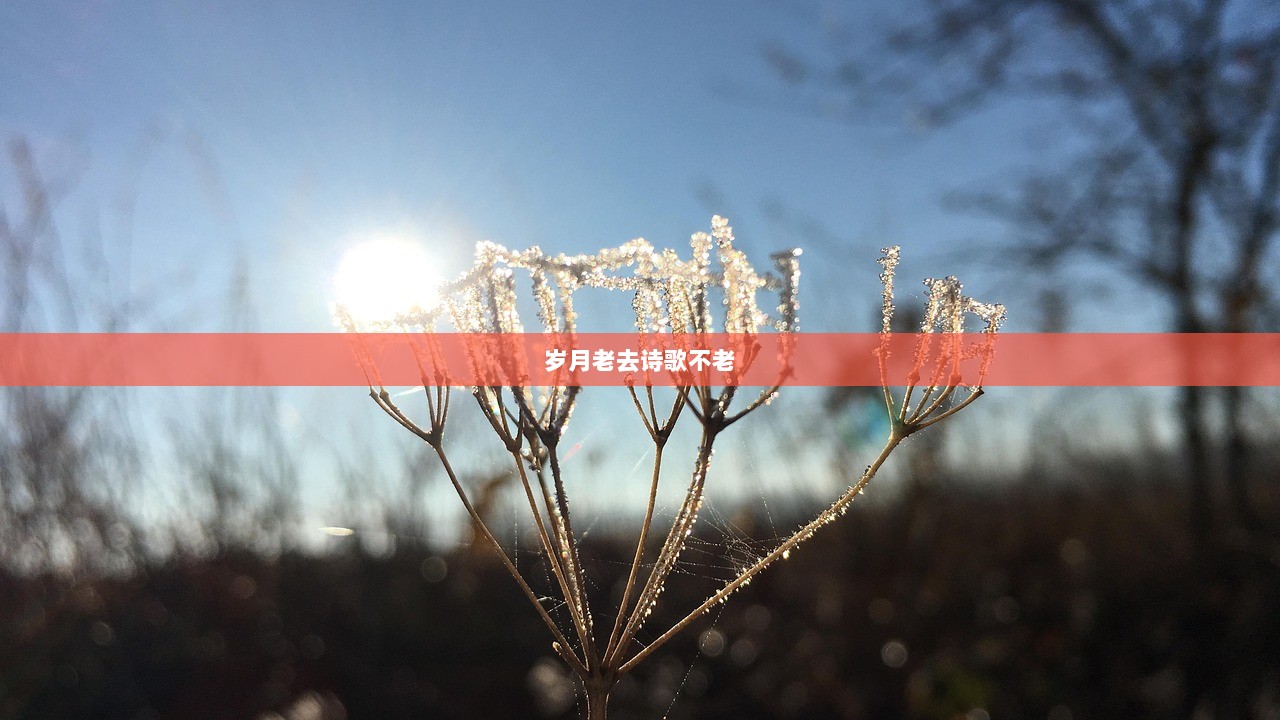 岁月老去诗歌不老