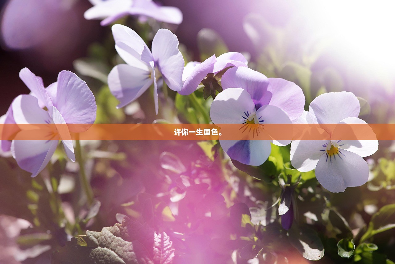 许你一生国色。