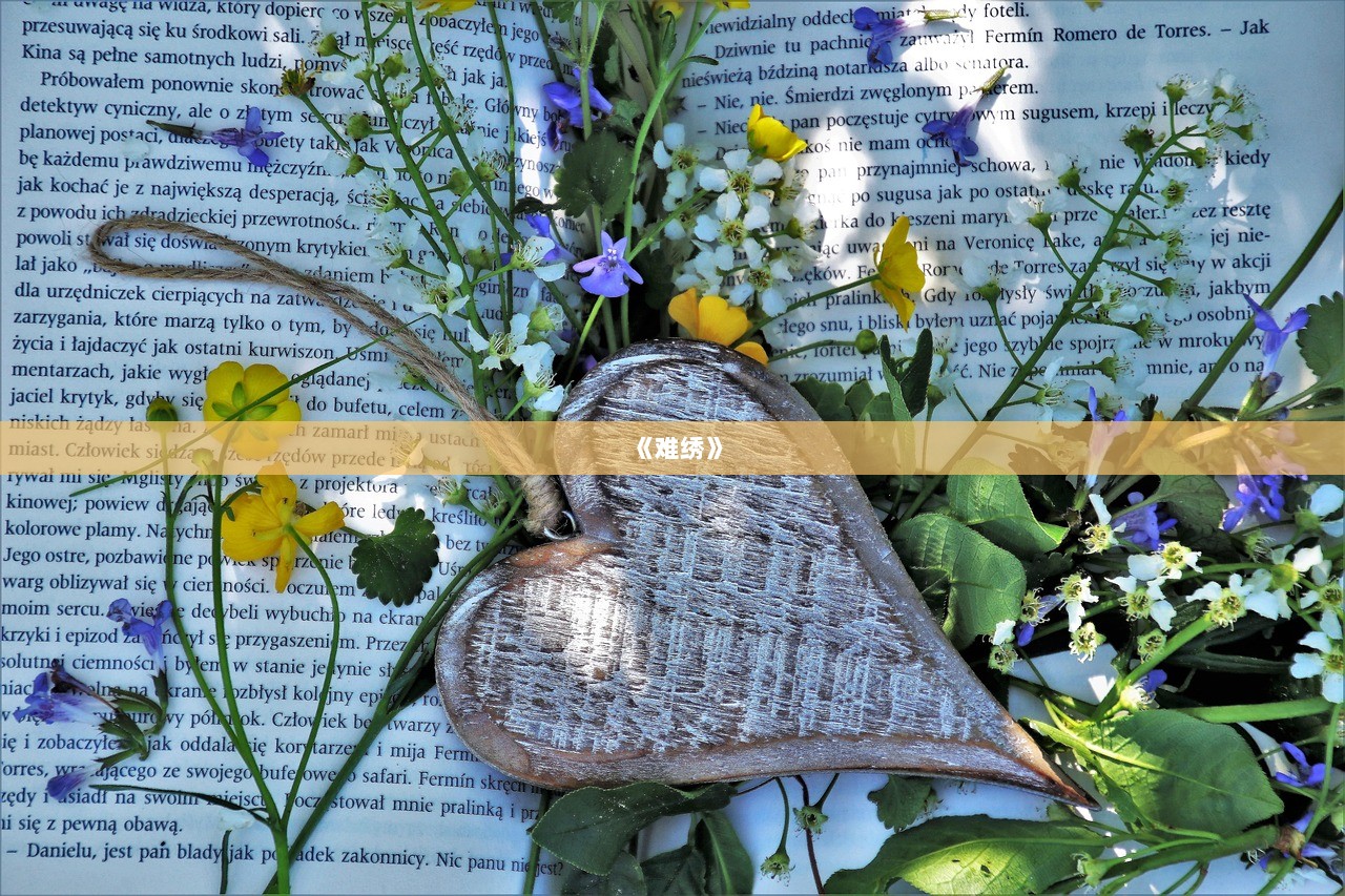 《难绣》  第1张