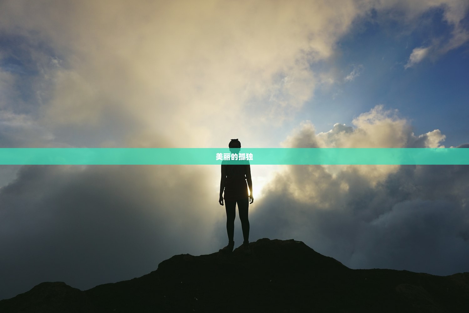 美丽的孤独  第1张