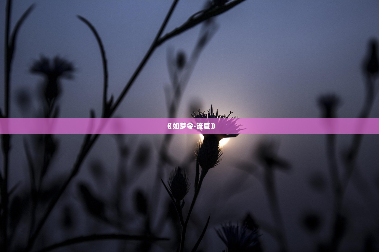 《如梦令·流夏》  第1张