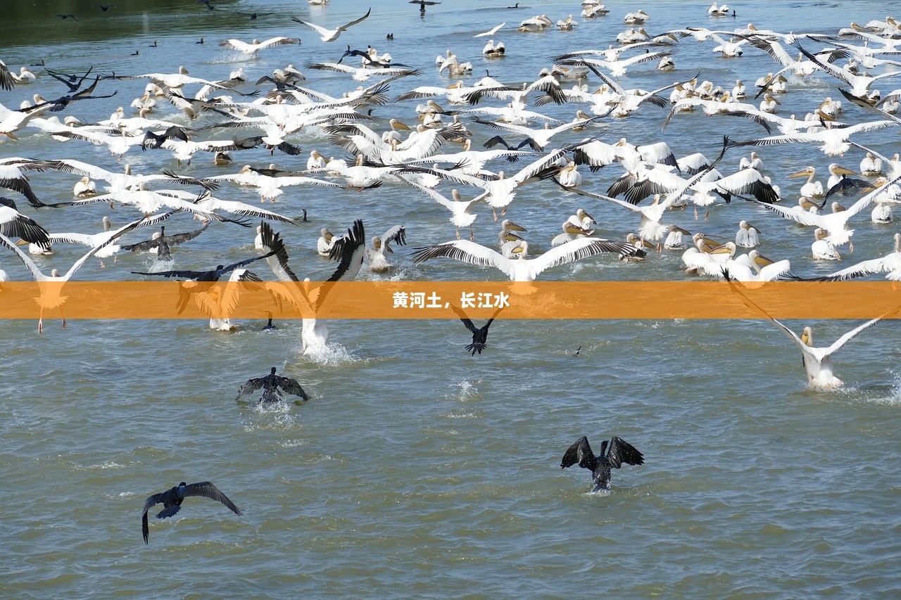 黄河土，长江水