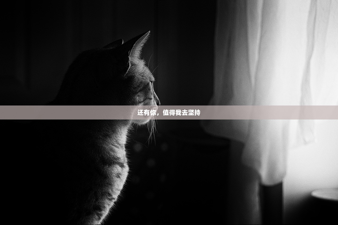 还有你，值得我去坚持