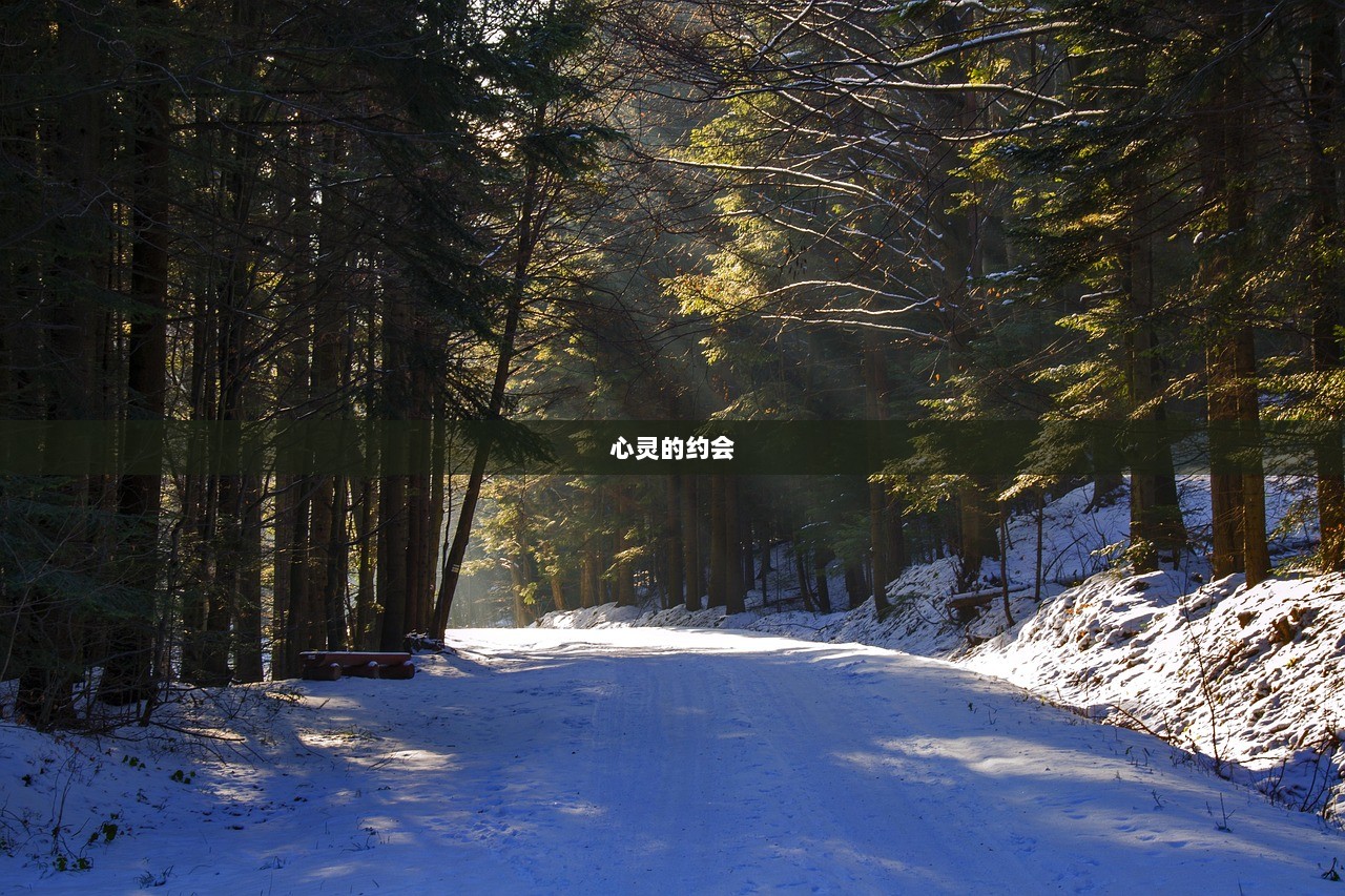 心灵的约会