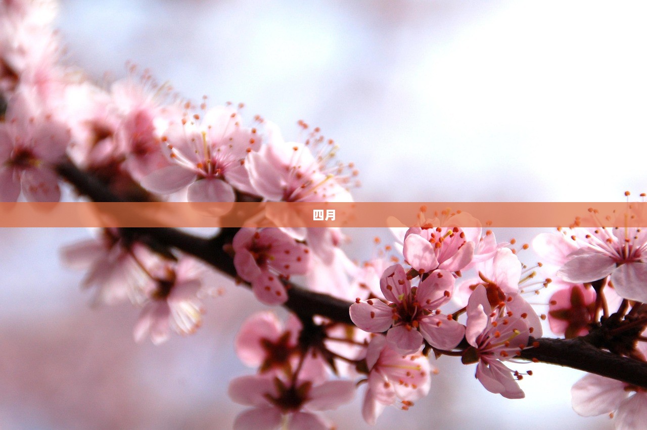 四月