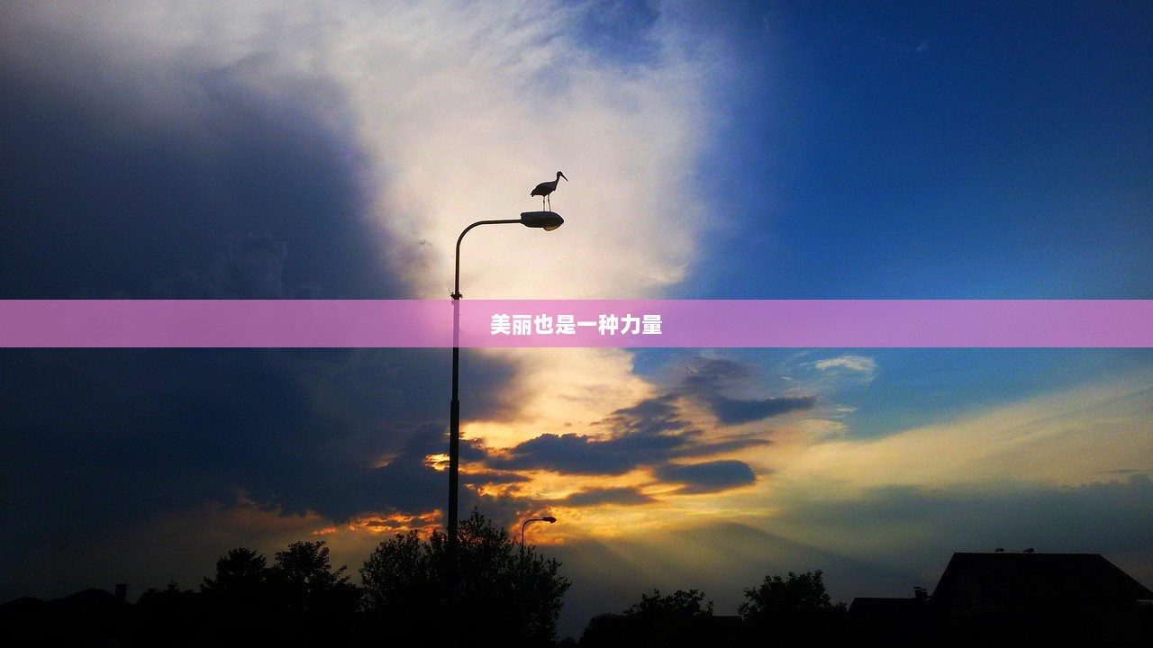 美丽也是一种力量